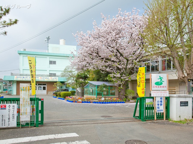 ���ӊ� ���w�Z 1100m ���Ԏs�����͖쏬�w�Z