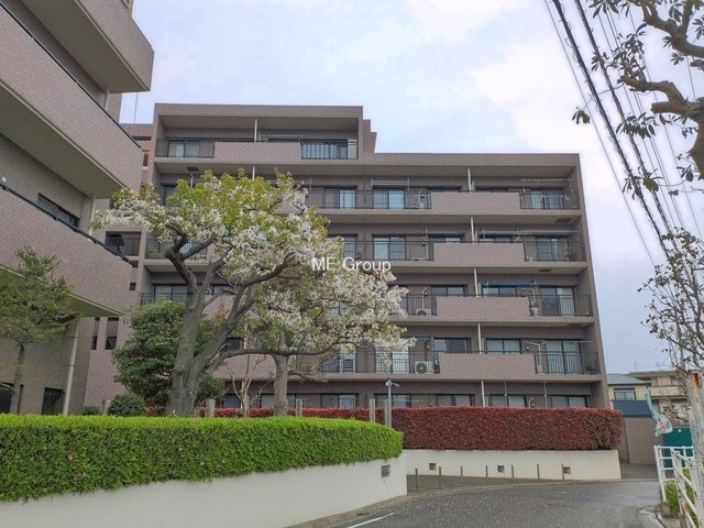 ���n�O�ώʐ^ �O��