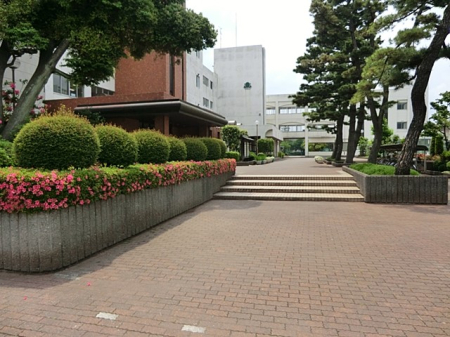 ���ӊ� �c�t���E�ۈ牀 200m ���S���ǂ���