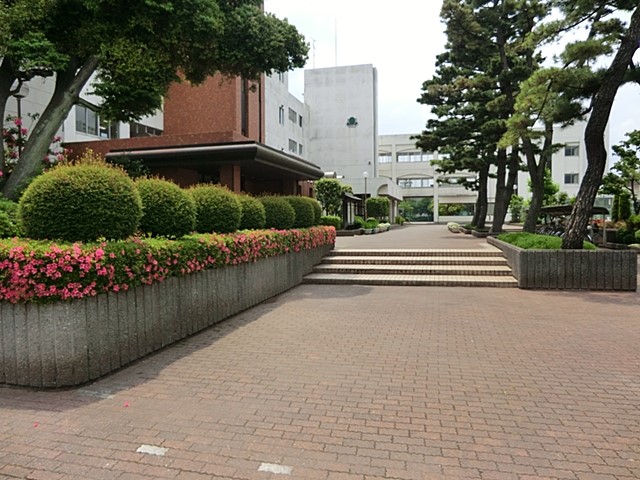 ���ӊ� �c�t���E�ۈ牀 200m ���S���ǂ���