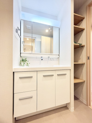 ���ʑ�E���ʏ� ����