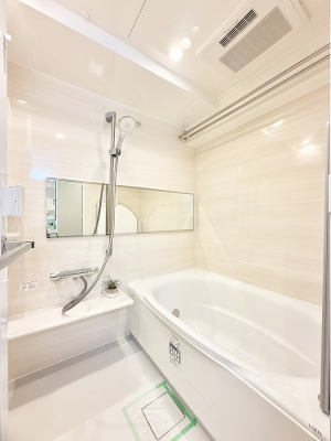 ���� ����