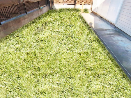 ���̑� �O�ρ���t���Z��͑��l�Ȏg�p�p�r�Ŋ��p�ł��܂��i�Ő��̓C���[�W�ł��j  