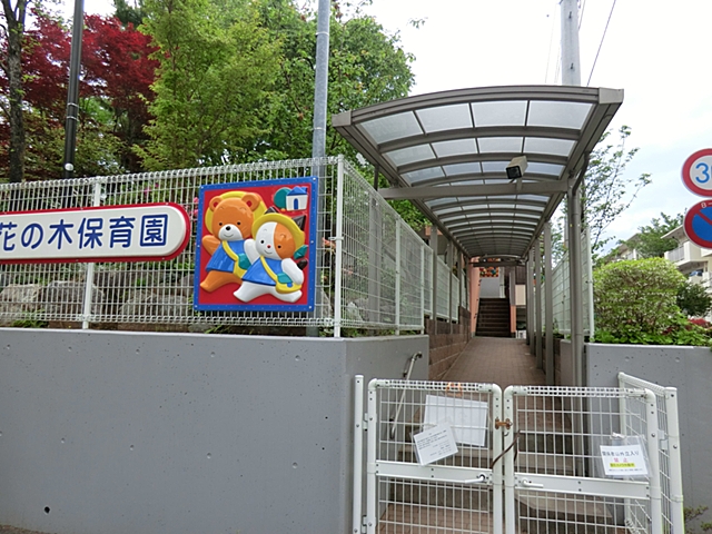 ���ӊ� �c�t���E�ۈ牀 290m �Ԃ̖ؕۈ牀