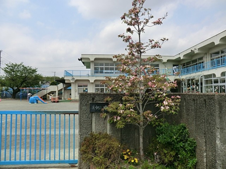 ���ӊ� �c�t���E�ۈ牀 950m ���ۈ牀