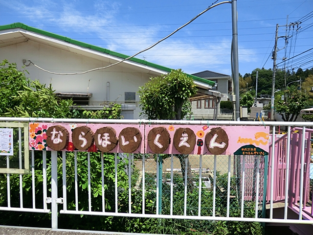 ���ӊ� �c�t���E�ۈ牀 700m �ޗǕۈ牀