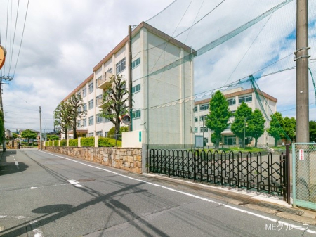 ���ӊ� ���w�Z 320m �����q�s���掵���w�Z