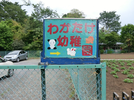 ���ӊ� �c�t���E�ۈ牀 700m ������|�c�t��