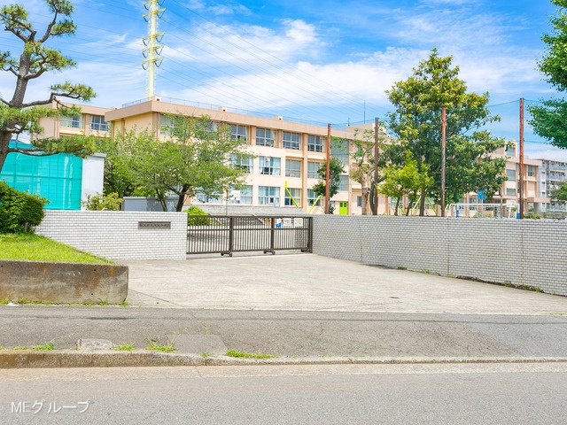 ���ӊ� ���w�Z 800m ����s����돬�w�Z