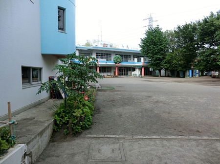 ���ӊ� �c�t���E�ۈ牀 900m �w�Z�@�l����w�� �F�肱�ǂ��� �����̂����c�t��